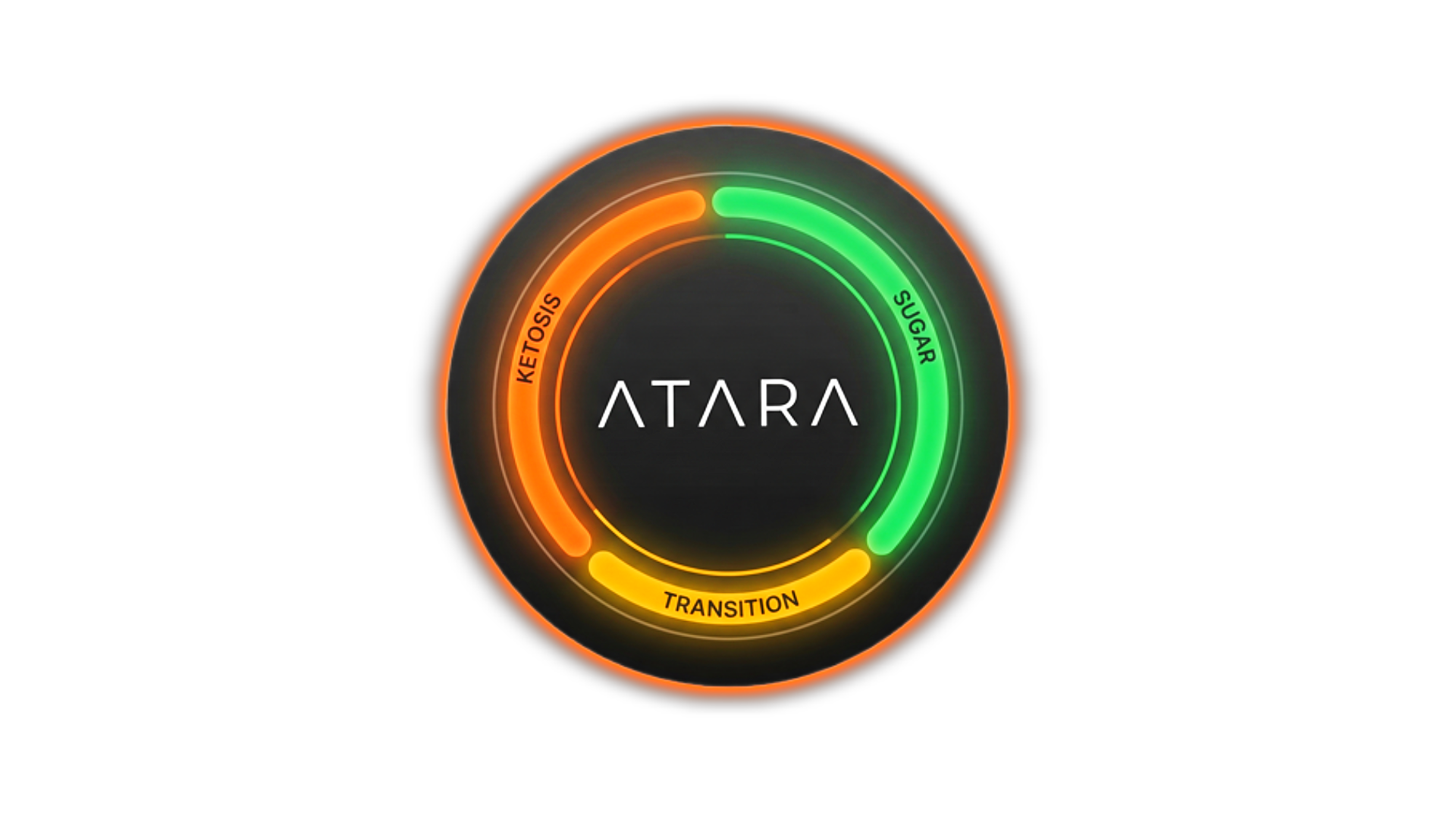 Atara Metabolic Timeline Interface